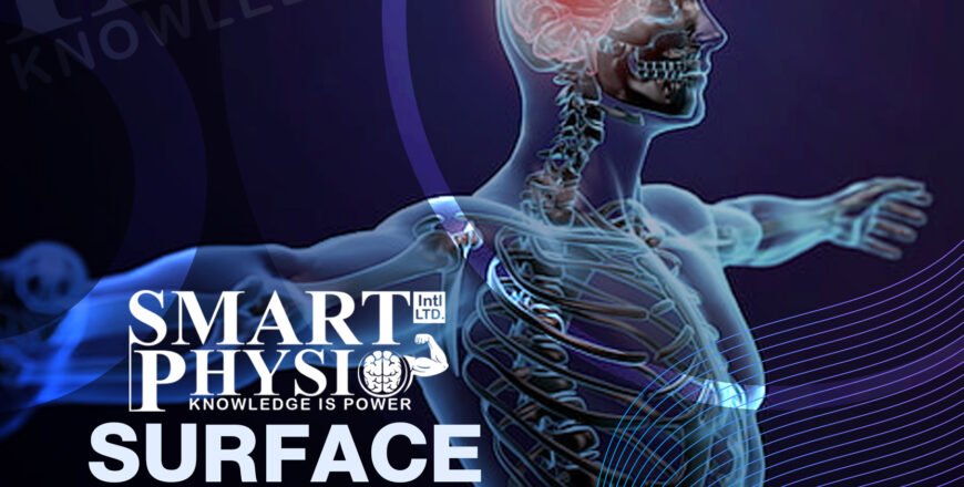 Surface anatomy.jpg