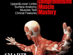 comprhensive musclesmastery